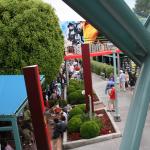 IMG_5479.JPG