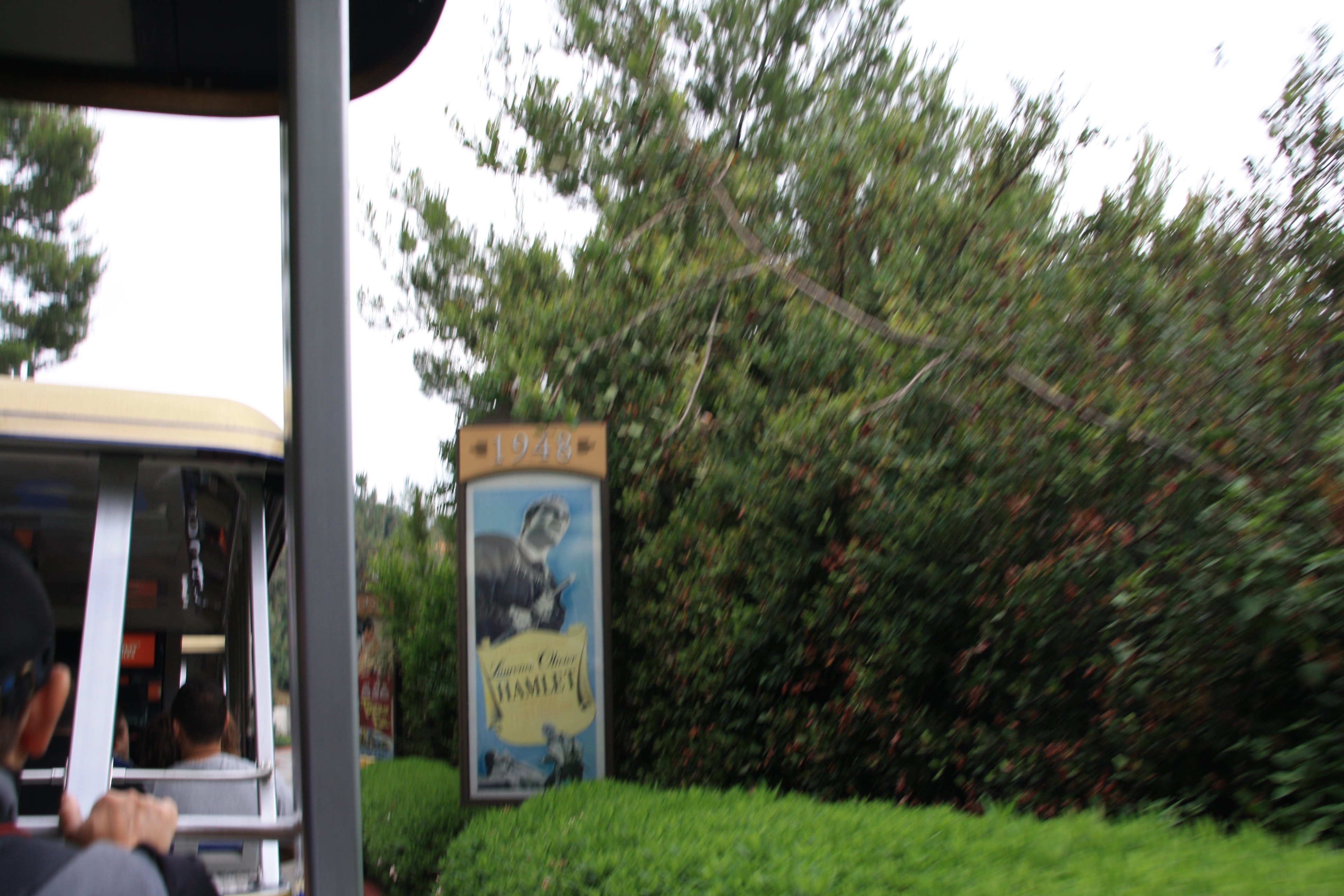 IMG_5489.JPG