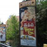 IMG_5490.JPG