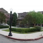 IMG_5516.JPG