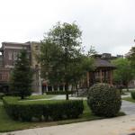 IMG_5519.JPG