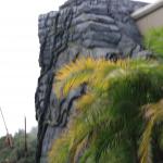 IMG_5546.JPG