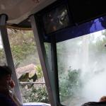 IMG_5592.JPG