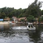 IMG_5666.JPG