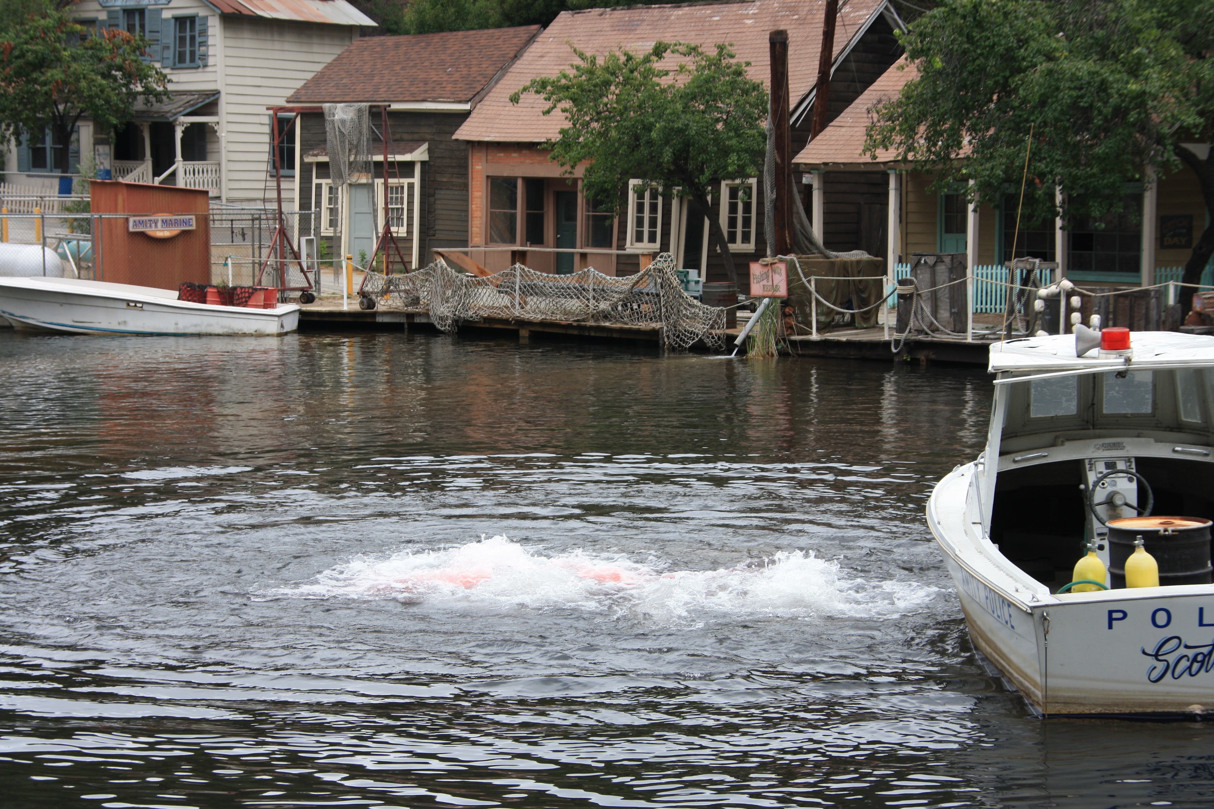 IMG_5667.JPG