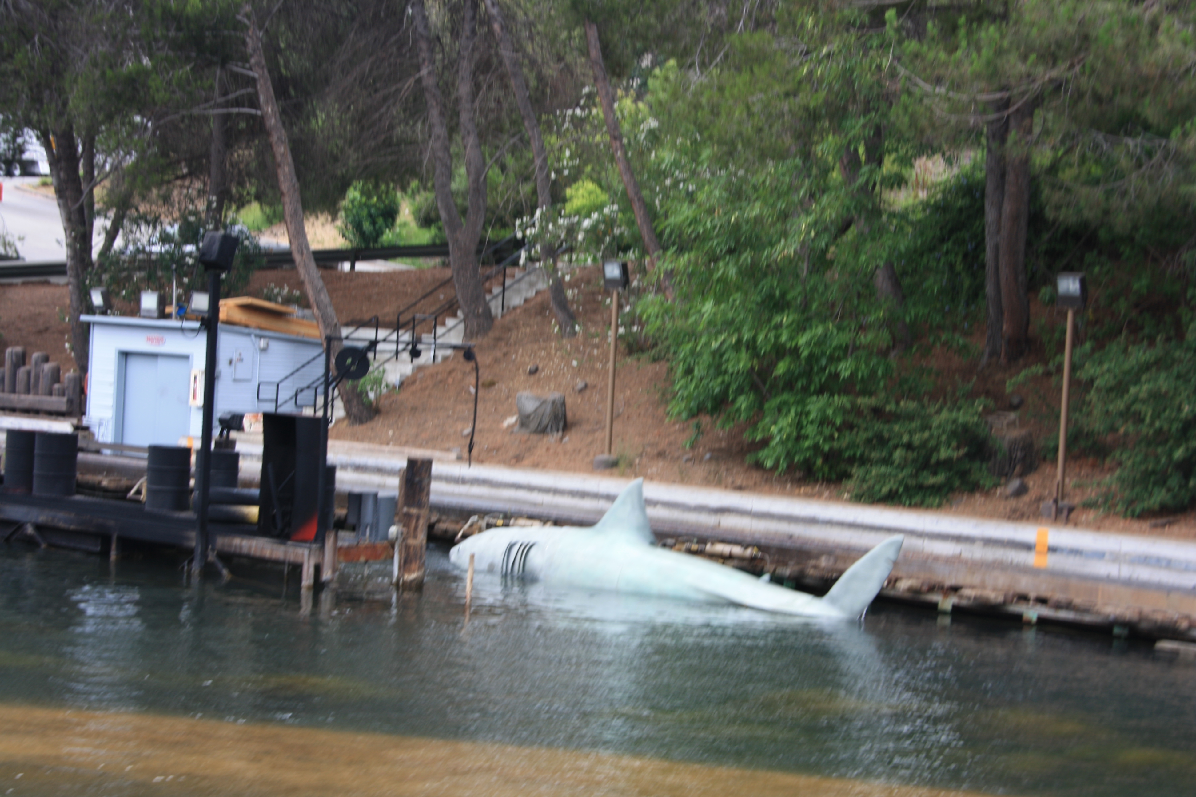 IMG_5677.JPG