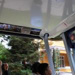 IMG_5687.JPG