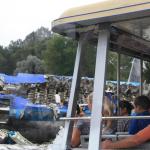 IMG_5726.JPG