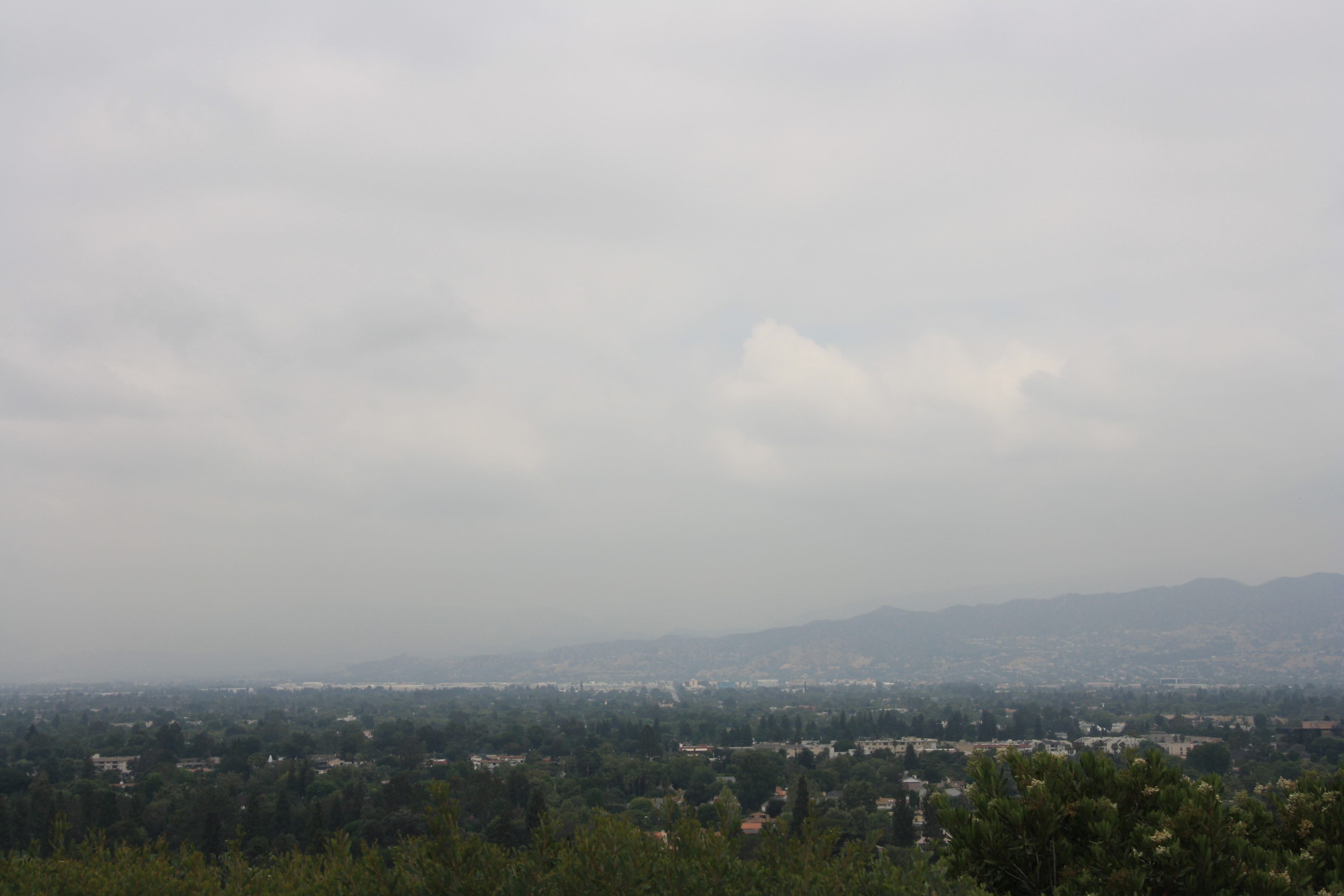 IMG_5745.JPG