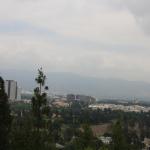 IMG_5761.JPG