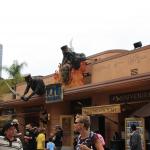 IMG_5786.JPG