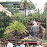 IMG_5789.JPG