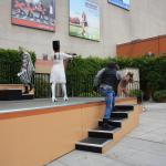 IMG_5804.JPG