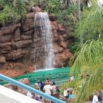 IMG_5858.JPG