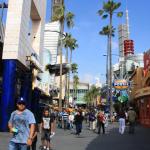IMG_5962.JPG