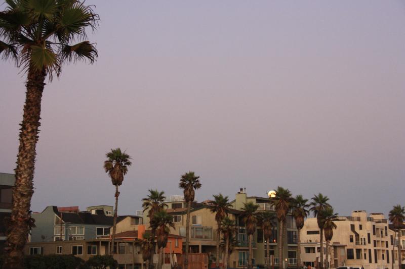 IMG_6046.JPG