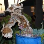 IMG_6052.JPG