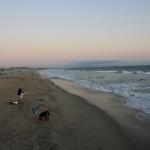 IMG_5990.JPG