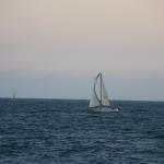 IMG_6017.JPG