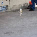 IMG_6019.JPG