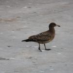 IMG_6022.JPG