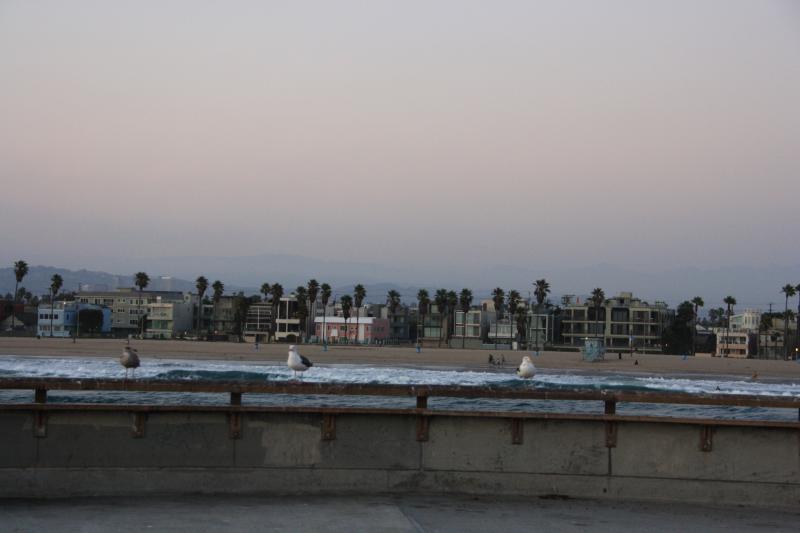 IMG_6029.JPG