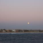 IMG_6038.JPG