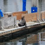 IMG_6555.JPG