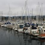 IMG_6556.JPG