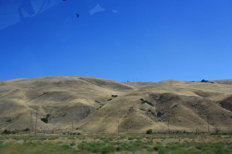 IMG_6059.JPG