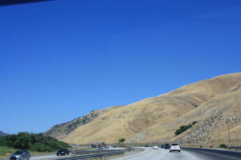 IMG_6061.JPG
