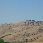 IMG_6078.JPG