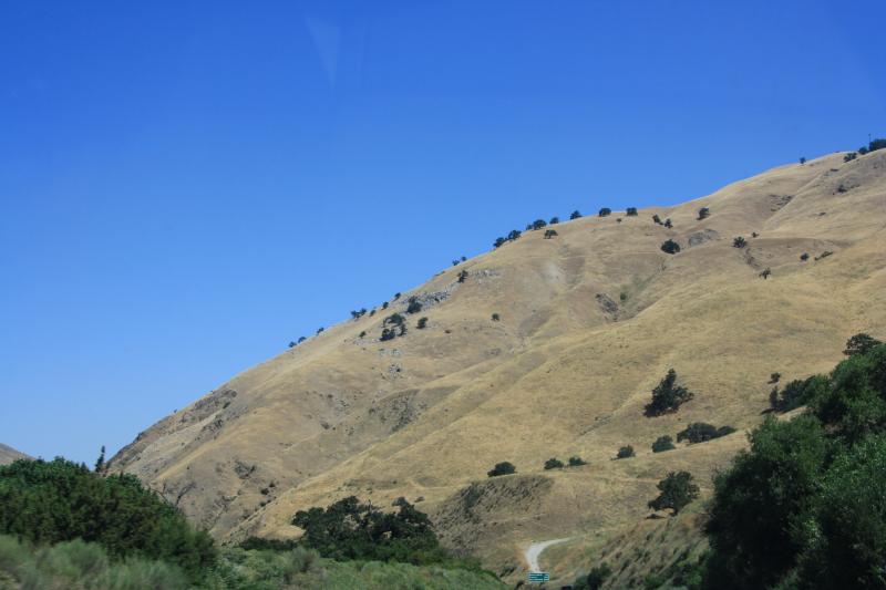 IMG_6079.JPG