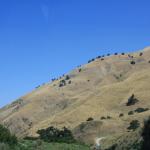 IMG_6079.JPG