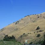 IMG_6080.JPG