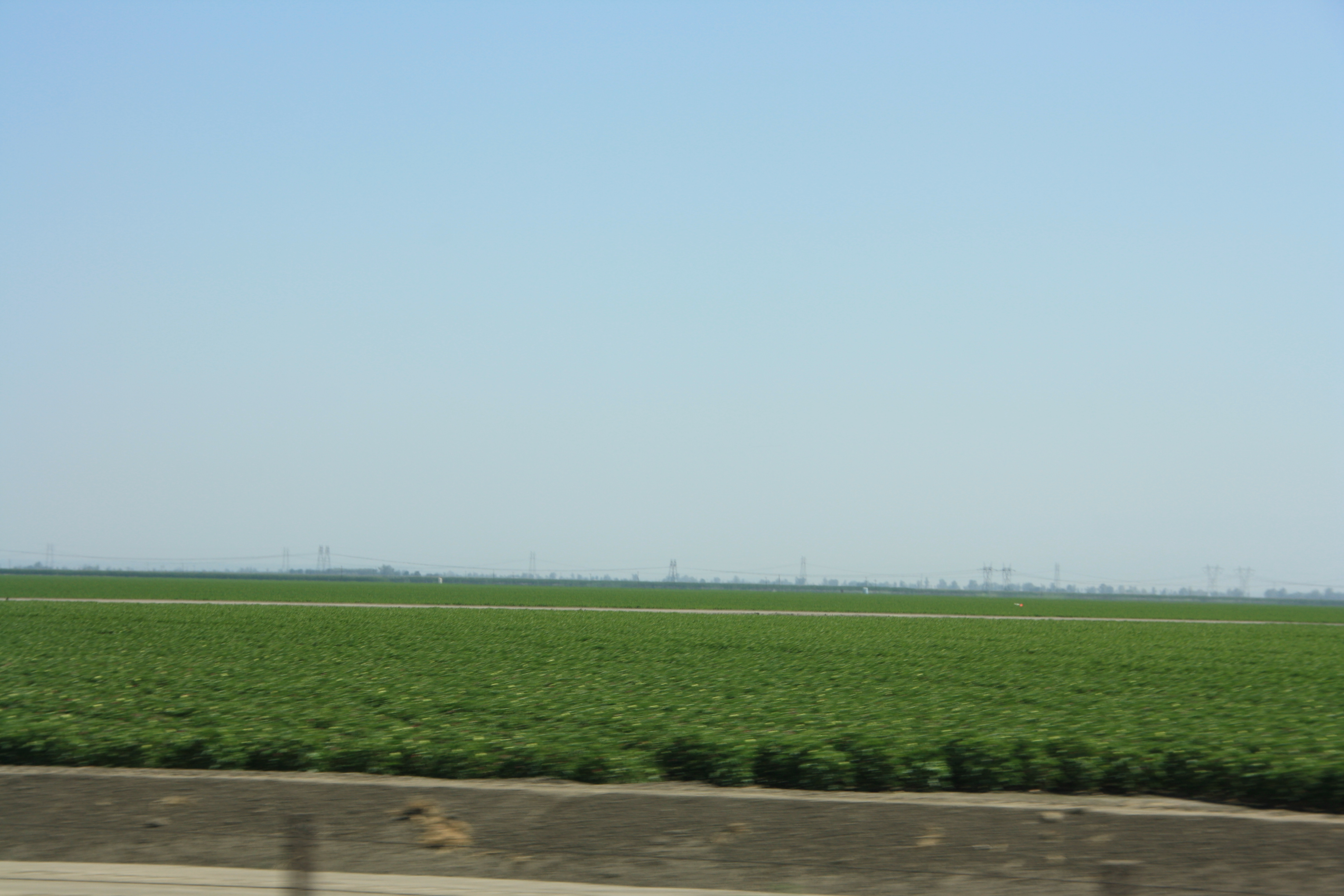 IMG_6082.JPG