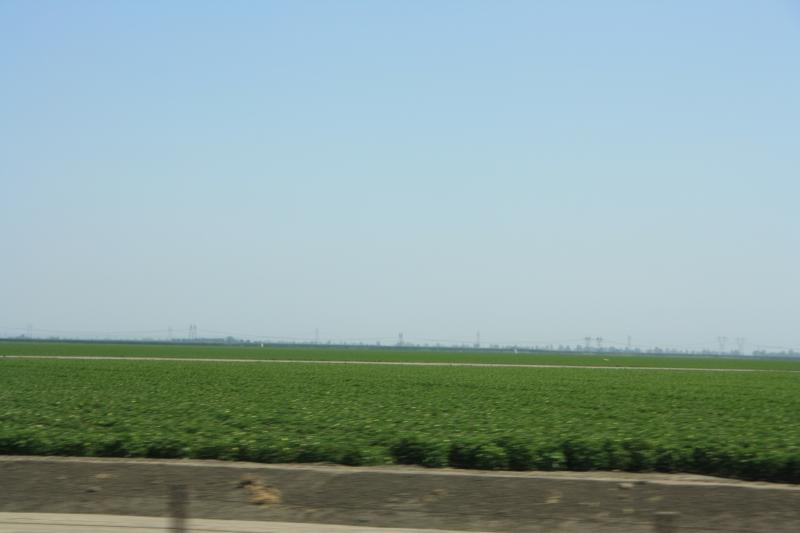 IMG_6082.JPG
