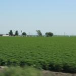 IMG_6084.JPG