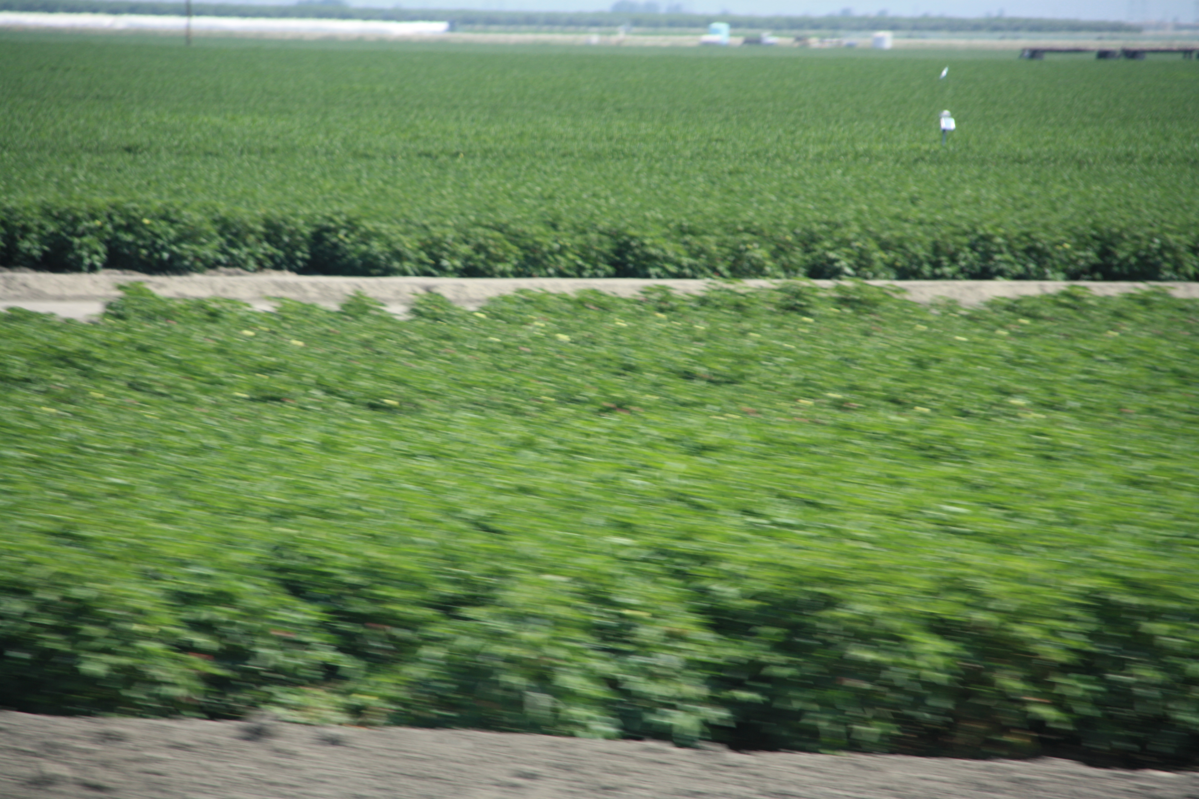 IMG_6085.JPG