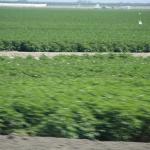 IMG_6085.JPG