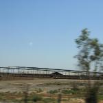 IMG_6086.JPG