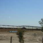 IMG_6087.JPG