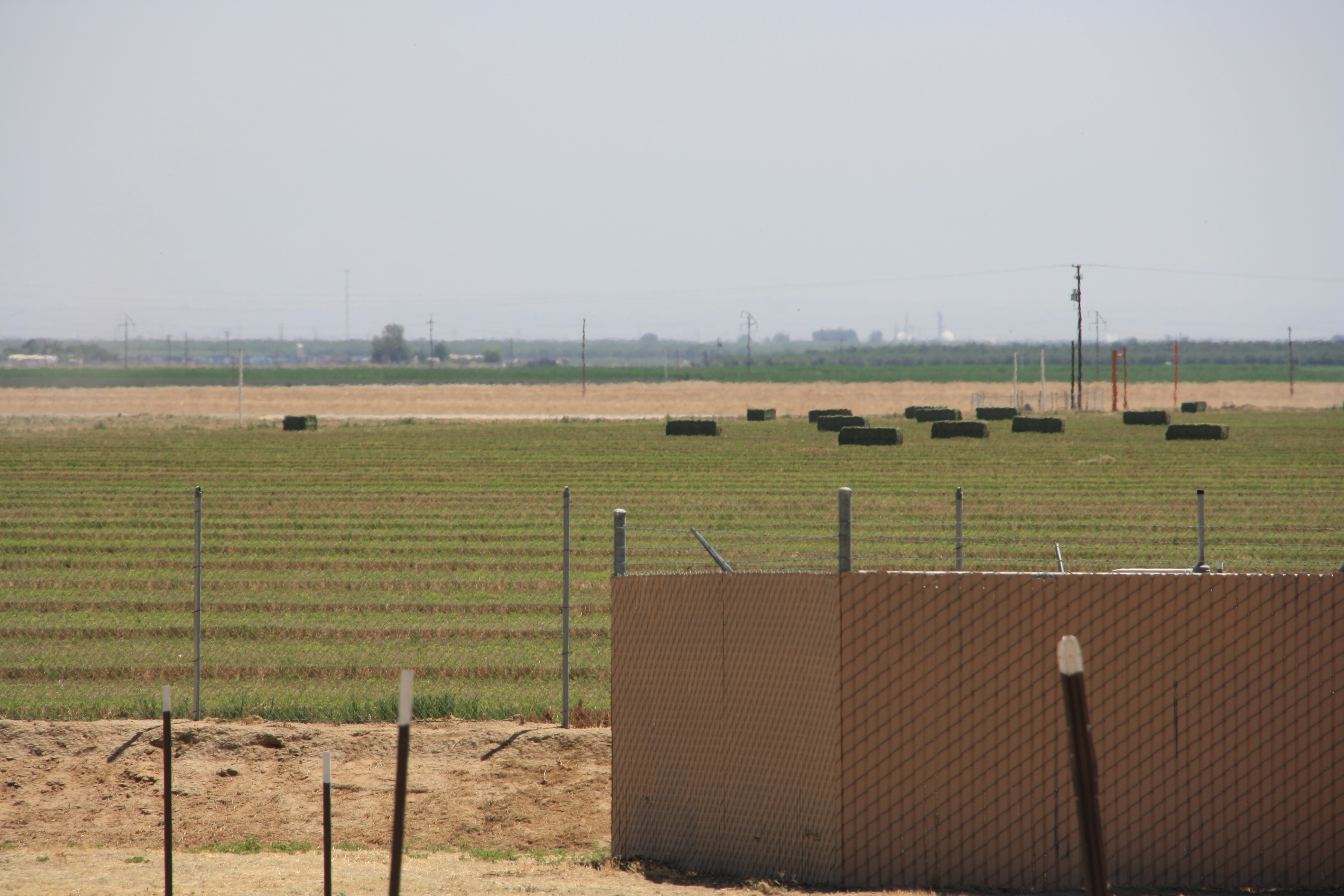 IMG_6106.JPG
