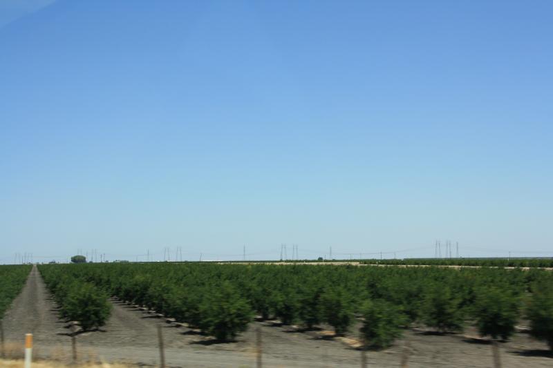 IMG_6119.JPG