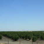 IMG_6119.JPG