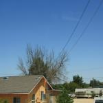 IMG_6128.JPG