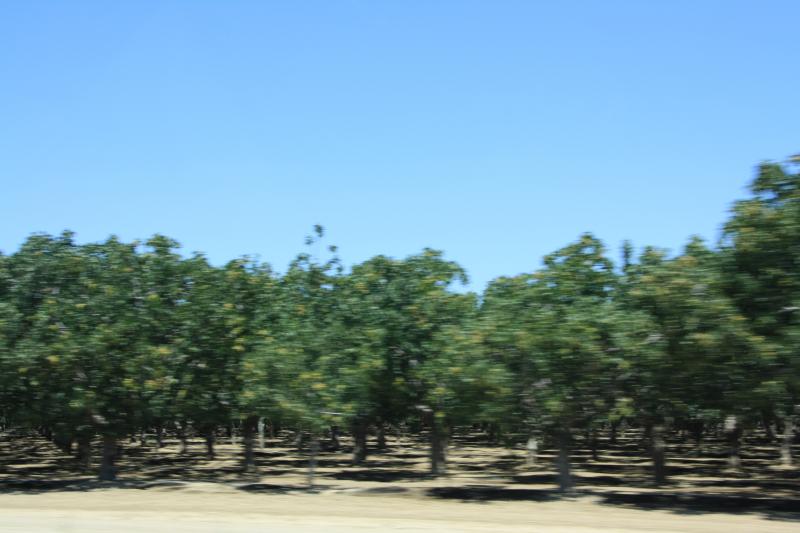 IMG_6132.JPG