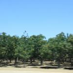 IMG_6132.JPG