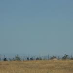 IMG_6133.JPG