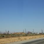 IMG_6135.JPG